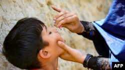 روند تطبیق واکسین پولیو در افغانستان که عمدتا به کمک سازمان ملل صورت میگیرد