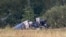 Epava avionului privat al lui Prigojin, un Embraer-135, care s-a prăbușit lângă Moscova, la Kuzhenkino.