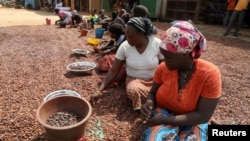 Žene pripremaju zrna kakaa na Obali Slonovače, januar 2021. 