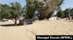 Houses and outbuildings nearly covered with sand in the village of Zhyltyr.