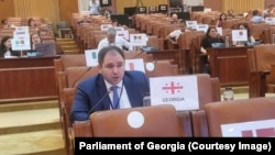 Николоз Самхарадзе в резких выражениях оценил те пассажи в проекте декларации, которые касались политики «Грузинской мечты»