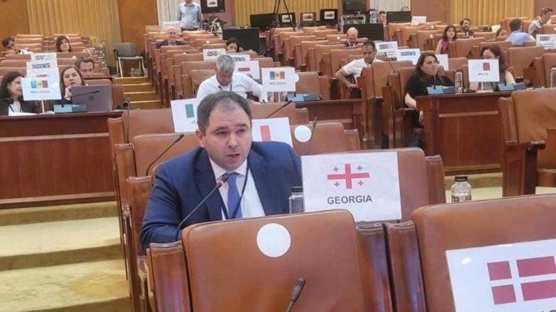 Декларация раздора между ПА ОБСЕ и «Грузинской мечтой»