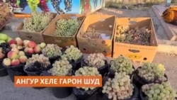 В Таджикистане этой зимой вымерзли виноградники, цены на виноград подскочили в разы 