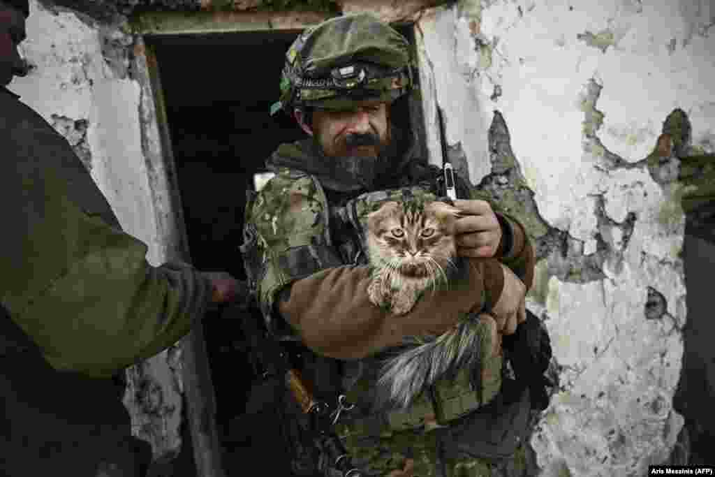 Një ushtar ukrainas duke mbajtur në duar një mace afër vijës së frontit.