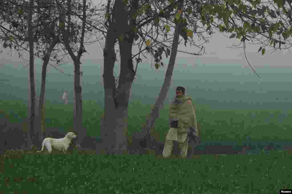 له پېښور سره نېږدې یو کس سهار مهال په لړه کې له خپل سپي سره ولاړ دی - د جنورۍ پینځمې انځور.