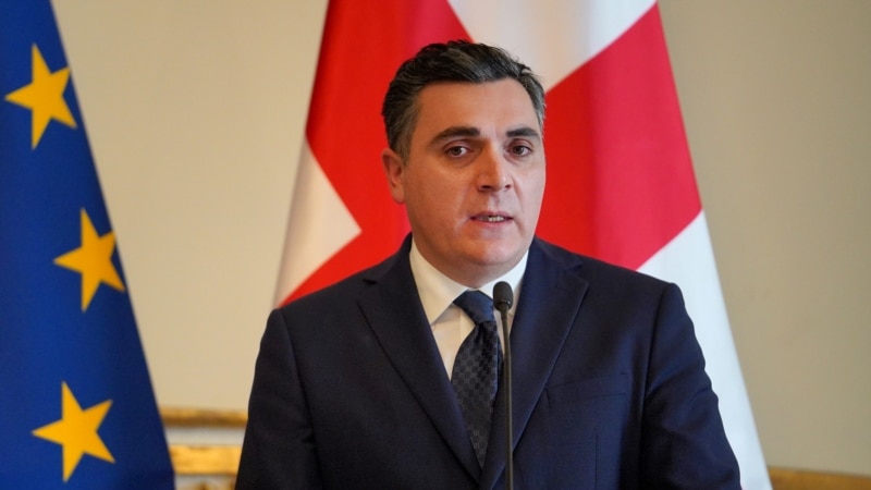 საგარეო უწყება გააკეთებს ყველაფერს, რომ ბიჭვინთის თემა საერთაშორისო საზოგადოების ყურადღების ცენტრში დარჩეს – დარჩიაშვილი