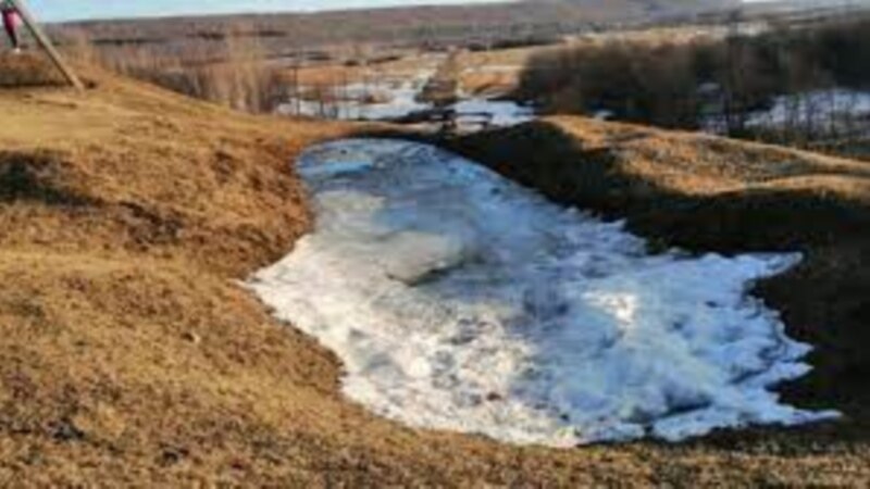 В Нижегородской области загрязнена четверть водоемов 