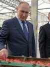 Vladimir Putin in Stavropol krai