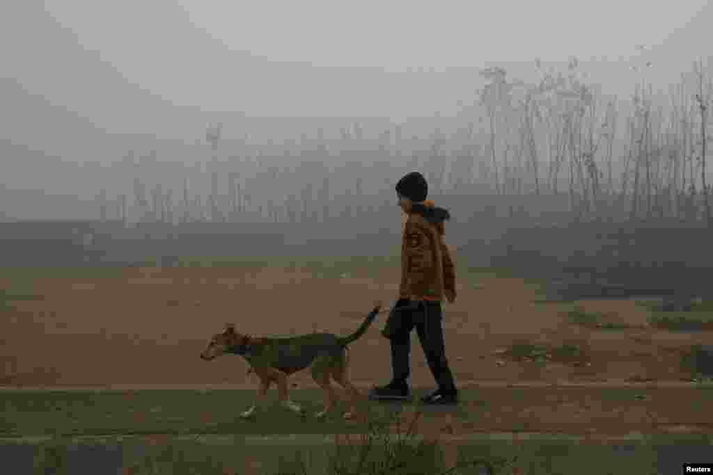 له پېښور ښاره بهر یو ماشوم خپل سپی ګرځوي - د جنورۍ پینځمې انځور.