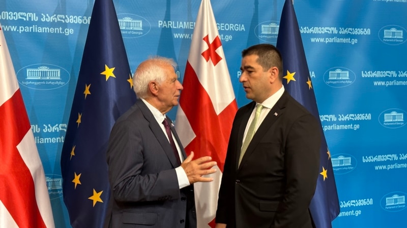 პაპუაშვილი: ევროკავშირის გადაწყვეტილება დამსახურებაზე დაფუძნებული და სამართლიანი უნდა იყოს