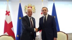«ԵՄ դռները բաց են Վրաստանի առաջ». Բորելը՝ Թբիլիսիում
