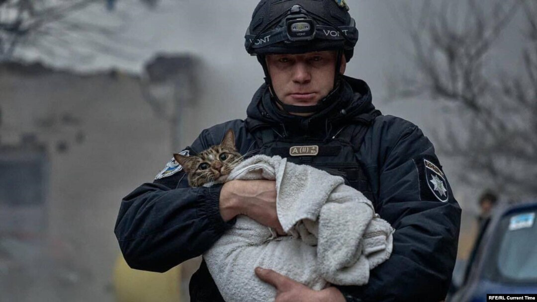 Выратаваны пасьля расейскага ракетнага абстрэлу Кіева кот у руках ратавальніка