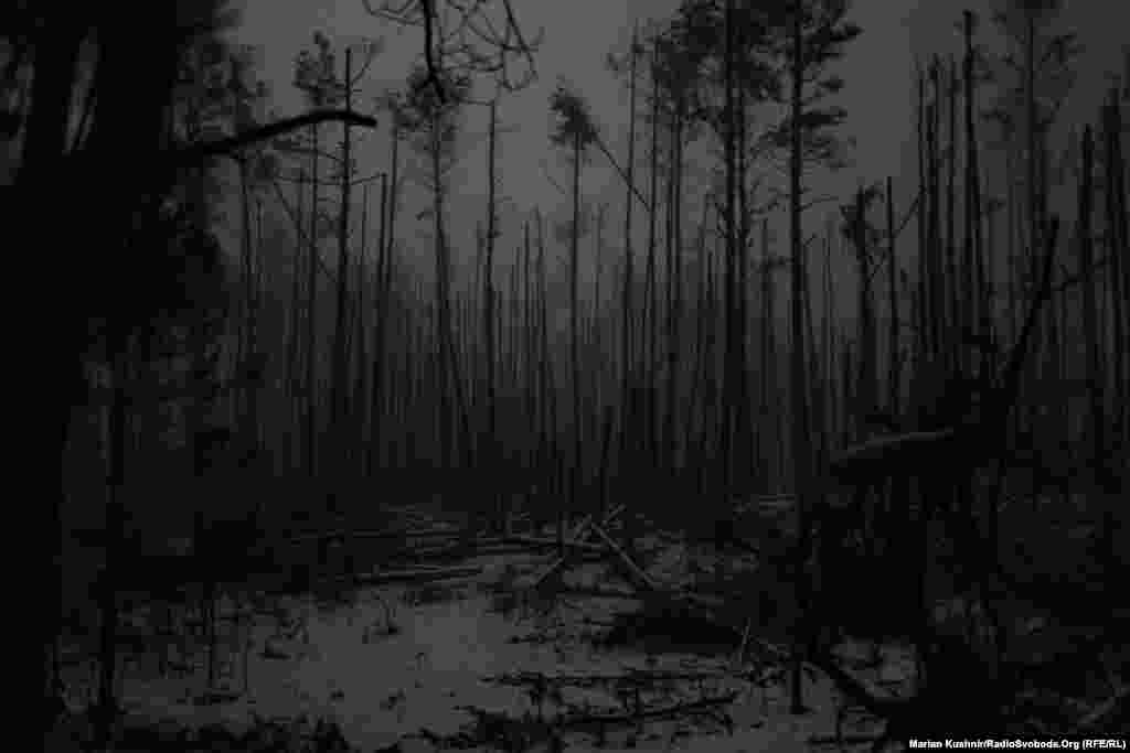 The once-dense canopy of trees now stands splintered, creating a desolate and shattered landscape. The soldiers call it their &quot;Verdun meat grinder,&quot; referring to the famous World War I battle.
