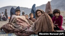 برخی از مهاجرین افغان در پاکستان 