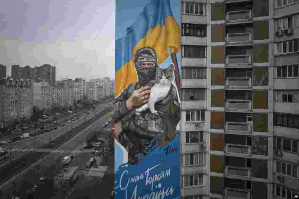 Imazhi në përmasa të mëdha i një luftëtari të maskuar që mban një mace, ndërsa në sfond ka flamurin ukrainas, është pikturuar në anë të një blloku apartamentesh në Kiev. Murali përshkruan vullnetarin Oleksiy Movchan, një 49-vjeçar që u vra nga bombardimet ruse në maj të vitit 2022, në rajonin e Donjeckut, menjëherë pasi ai dhe tre nga shokët e tij ushtarë shpëtuan 11 civilë dhe macen e tyre. Imazhi është riprodhuar nga një foto e shkrepur disa momente para se Movchan të vritej.