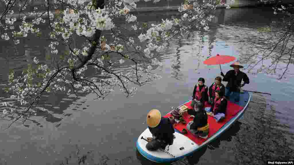 A cseresznyevirágot Japán nemzeti virágának tartják. A cseresznyevirág, japánul szakura megfigyelése régi tradíció, ma turistalátványosság. A hulló szirmok alatt sok évszázada&nbsp;piknikeznek, szakét isznak vagy teáznak. Ezt az eseményt hanaminek hívják