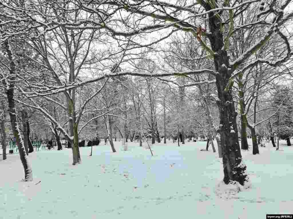 Гагаринский парк стал похож на зимний лес в снежном одеянии
