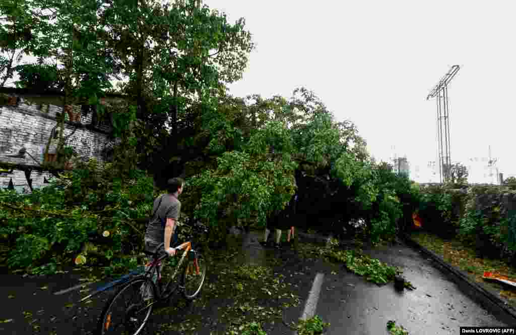 Banorët përpiqen t&rsquo;i largojnë nga rruga pemët e rrëzuara, pas stuhisë së papritur në Zagreb, Kroacia.19 korrik 2023
