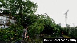 Локален жител се обидуваат да ги отстранат паднатите дрвја од патот по ненадејното невреме во Загреб, на 19 јули 2023 година.