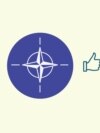 Infographic- NATO Annual Tracking Research 2022