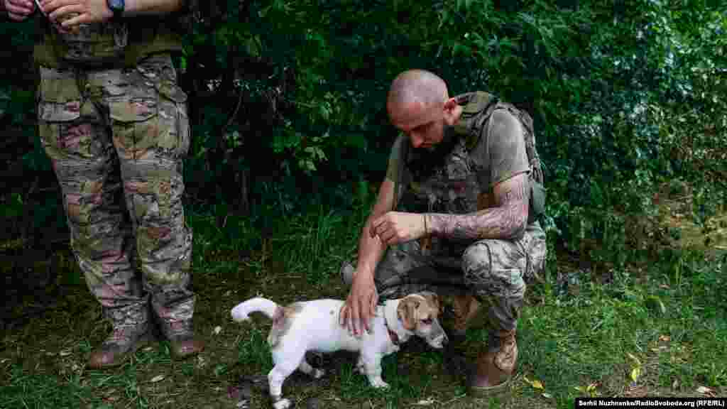 Український військовий 47-ї окремої механізованої бригади &laquo;Магура&raquo; гладить собаку, яку назвали Бредлі, на позиціях