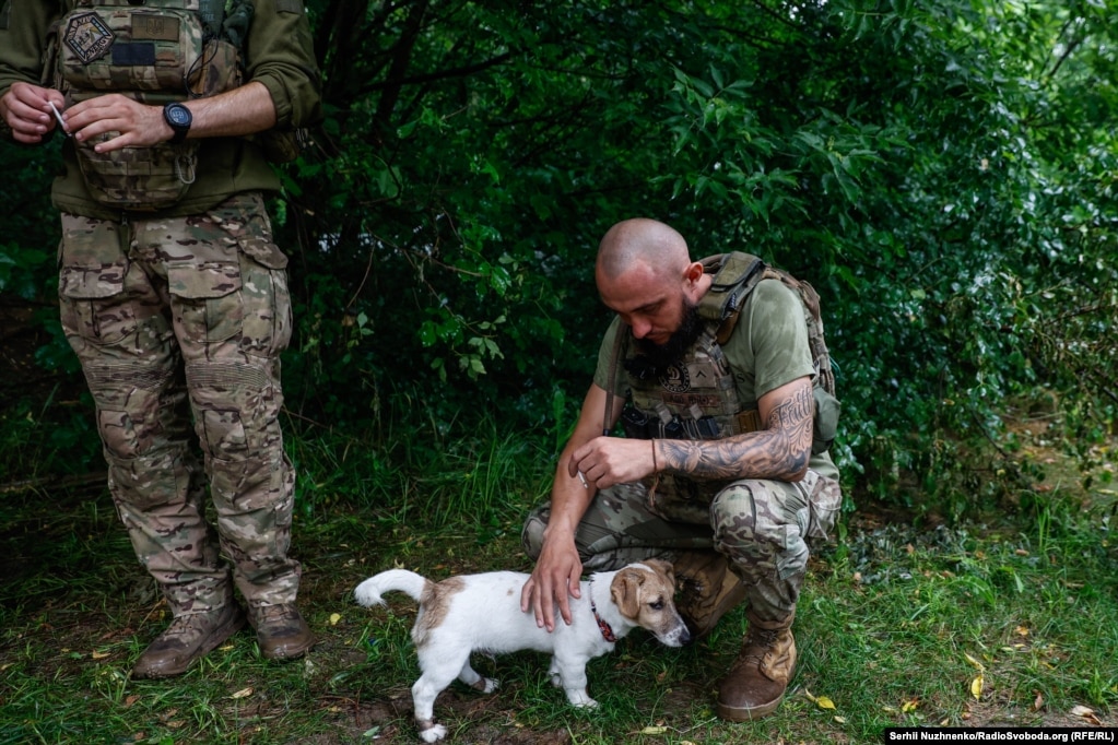 Український військовий 47-ї окремої механізованої бригади «Магура» гладить собаку, яку назвали Бредлі, на позиціях