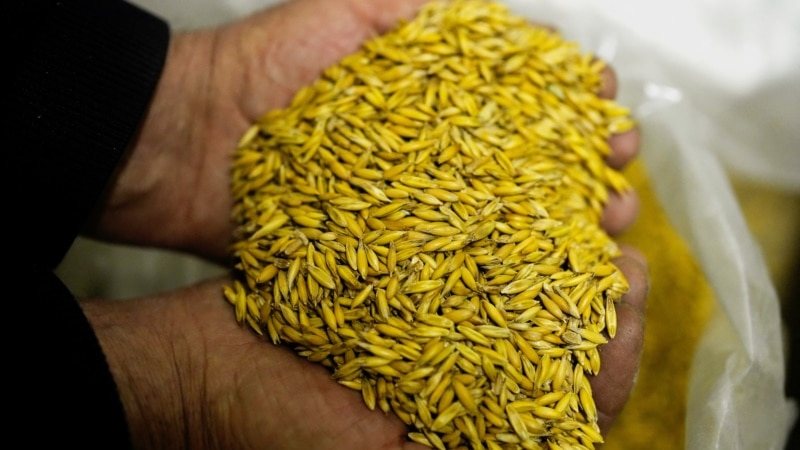 Важные истории: связанный с Кадыровым бизнесмен вывозит зерно из Украины
