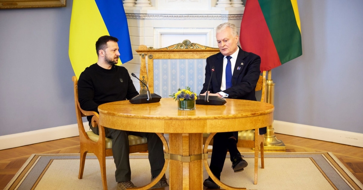 Зеленський і Науседа обговорили дронову угоду та вступ України до ЄС