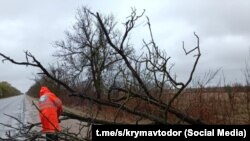 Сотрудник «Крымавтодора» устраняет последствия урагана на автодороге Крыма 19 ноября 2023 года