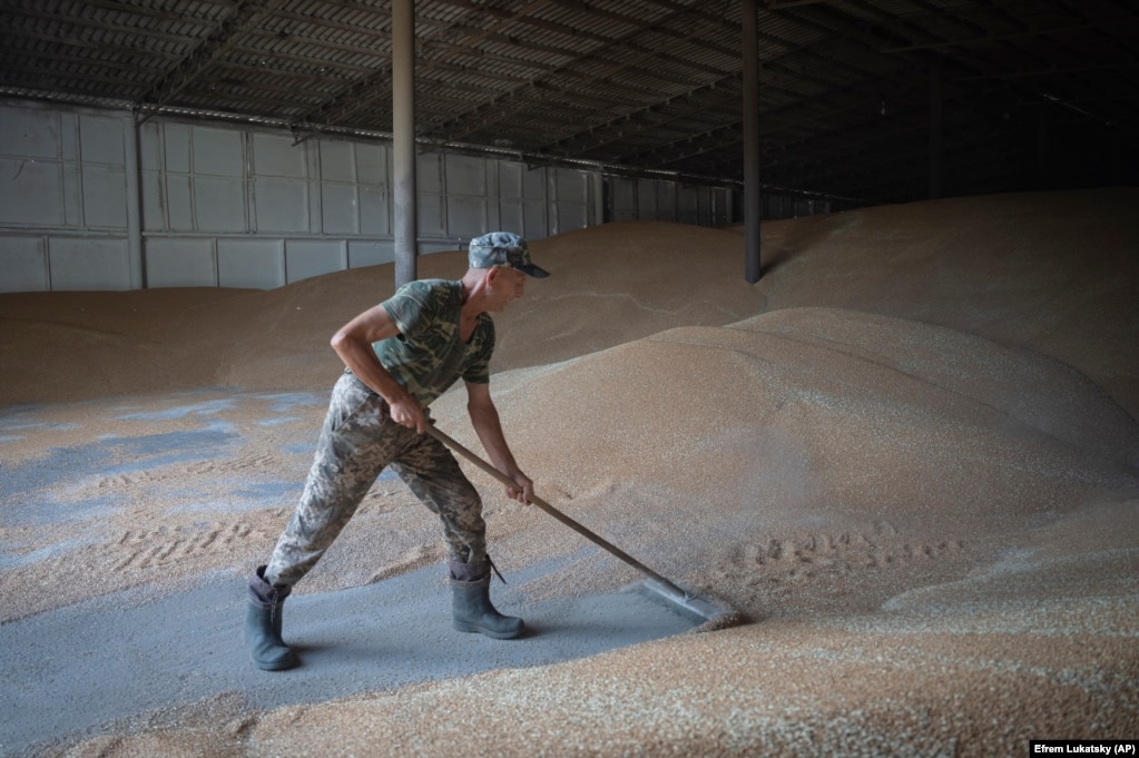 Un operaio raccoglie il grano in un granaio.