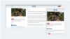 Creating a Live blog