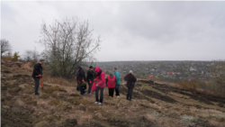 Zeci de voluntari au venit să planteze arbori în satul Sireți, raionul Strășeni. Unii dintre ei sunt săteni, alții - angajați ai instituțiilor de stat, implicați cu toții în campania „Generația pădurii”, noiembrie 2023.