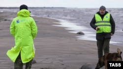 Иллюстративное фото