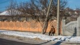 Potrivit datelor Biroului Național de Statistică, fiecare a 5 persoană din R. Moldova are vârstă pensionară. 