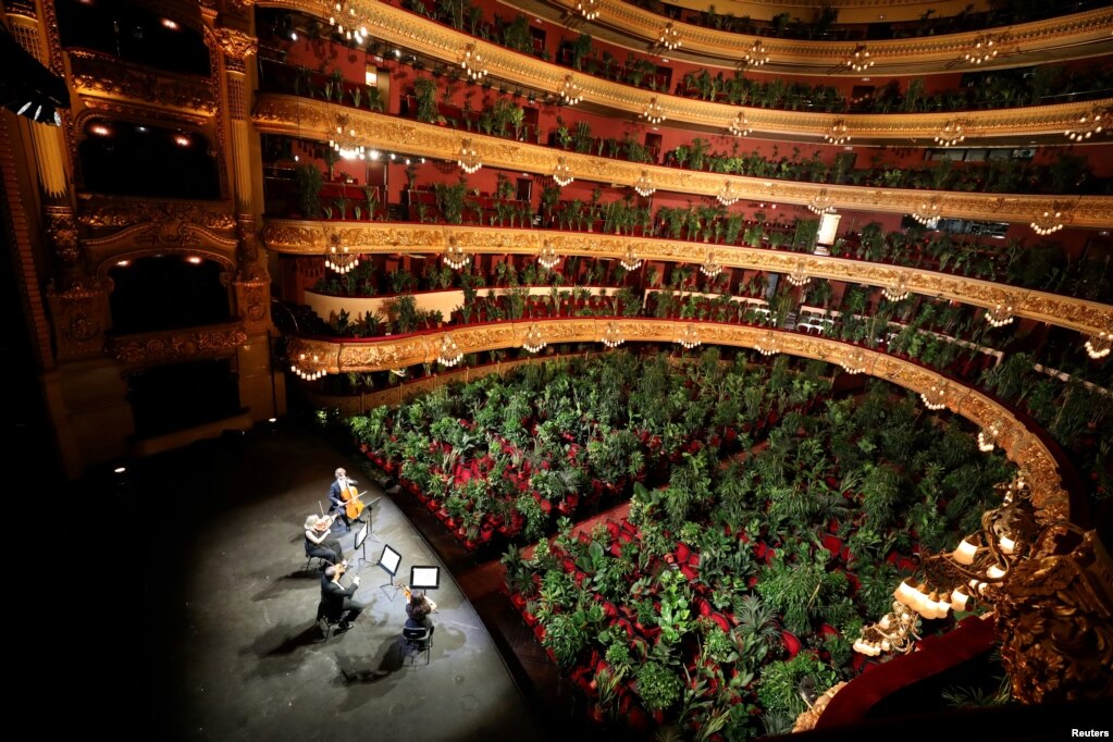 Fidane bimësh shihen të vendosura në vend të njerëzve gjatë një prove, ndërsa opera Gran Teatre del Liceu e Barcelonës rihapi dyert e saj me një koncert për bimët për të rritur ndërgjegjësimin për rëndësinë e audiencës pas kufizimeve gjatë shpërthimit të koronavirusit (COVID-19).