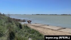 Мужчина собирает целебный ил в озере Мойнаки на территории бывшего детского санатория «Родина»
