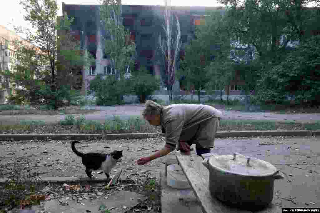 Local resident Tetyana, 72, feeds a cat in front of a burning apartment building after shelling in the town of Toretsk, in Ukraine&#39;s Donetsk region. Every day, risking her life, she distributes food to animals left in the city without owners.