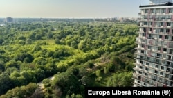 Imagine din Parcul Natural Văcăreşti din București. Spre deosebire de acesta, pădurile urbane nu au statut de arie protejată, dar contribuie la reducerea poluării.