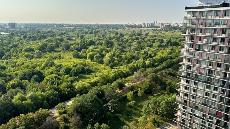 De ce pădurile urbane prind greu rădăcini, chiar și cu bani gratis. Primăriile au atras mai puțin de 10% din  fondurile disponibile