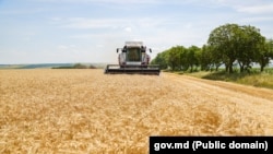 Potrivit scenariului de bază a prognozelor făcute de ministerul Economiei, până în 2028, creșterea salariilor va stagna, „investițiile active” vor scădea, iar agricultura va rămâne vulnerabilă și cu o creștere anuală de 1%.