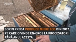 Apicultorul Sorin Preda din Olt a rămas cu 4 tone de miere ecologică nevândută
