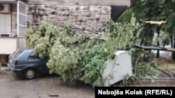 Jak vjetar u Trebinju je uzrokovao lomljenje drveća, 2. jul 2024