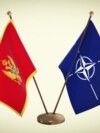 Infographic, Close to half of Montenegrin citizens would vote to leave NATO, March 2024. 