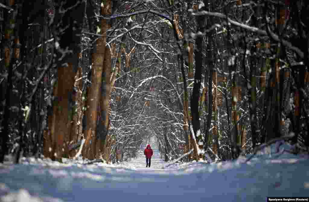 BULGARIA -- A man walks in a snow covered park during subzero temperatures in Sofia, Bulgaria, January 23, 2024.