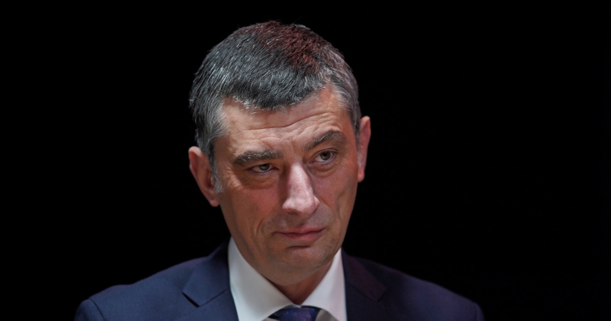 პარტია "გახარია საქართველოსთვის" სადავო პარლამენტში შედის