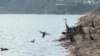 Skadar Lake, Montenegro - screenshot 01