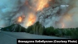 Пожары в Курганской области, май 2023