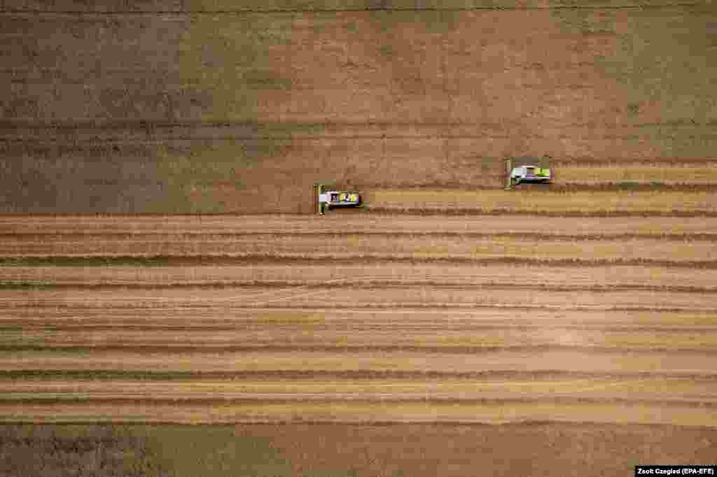 In this picture taken by a drone, harvest combines work in a wheat field on the outskirts of Debrecen in northeastern Hungary.