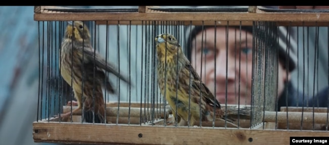 Скриншот из фильма "Овсянки"