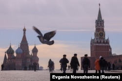 მტრედი წითელ მოედანზე, მოსკოვის კრემლის წინ. 2023 წლის მარტი.